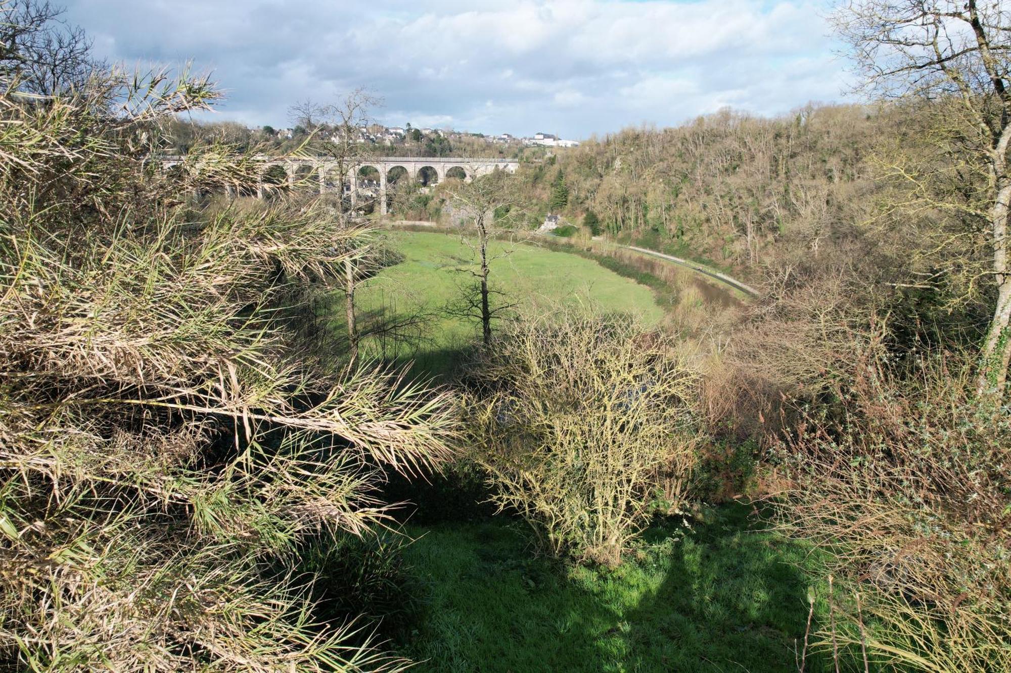 O Bois Dormant- Vue Viaduc/Rance Lanvallay Exterior foto